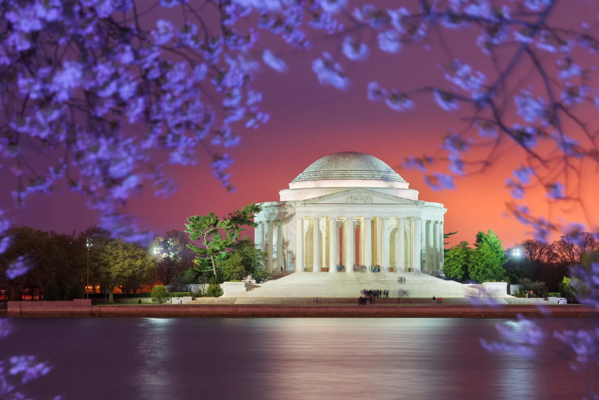 Jefferson Memorial framed by cherry blossoms in spring on a private DC limo cherry blossom tour