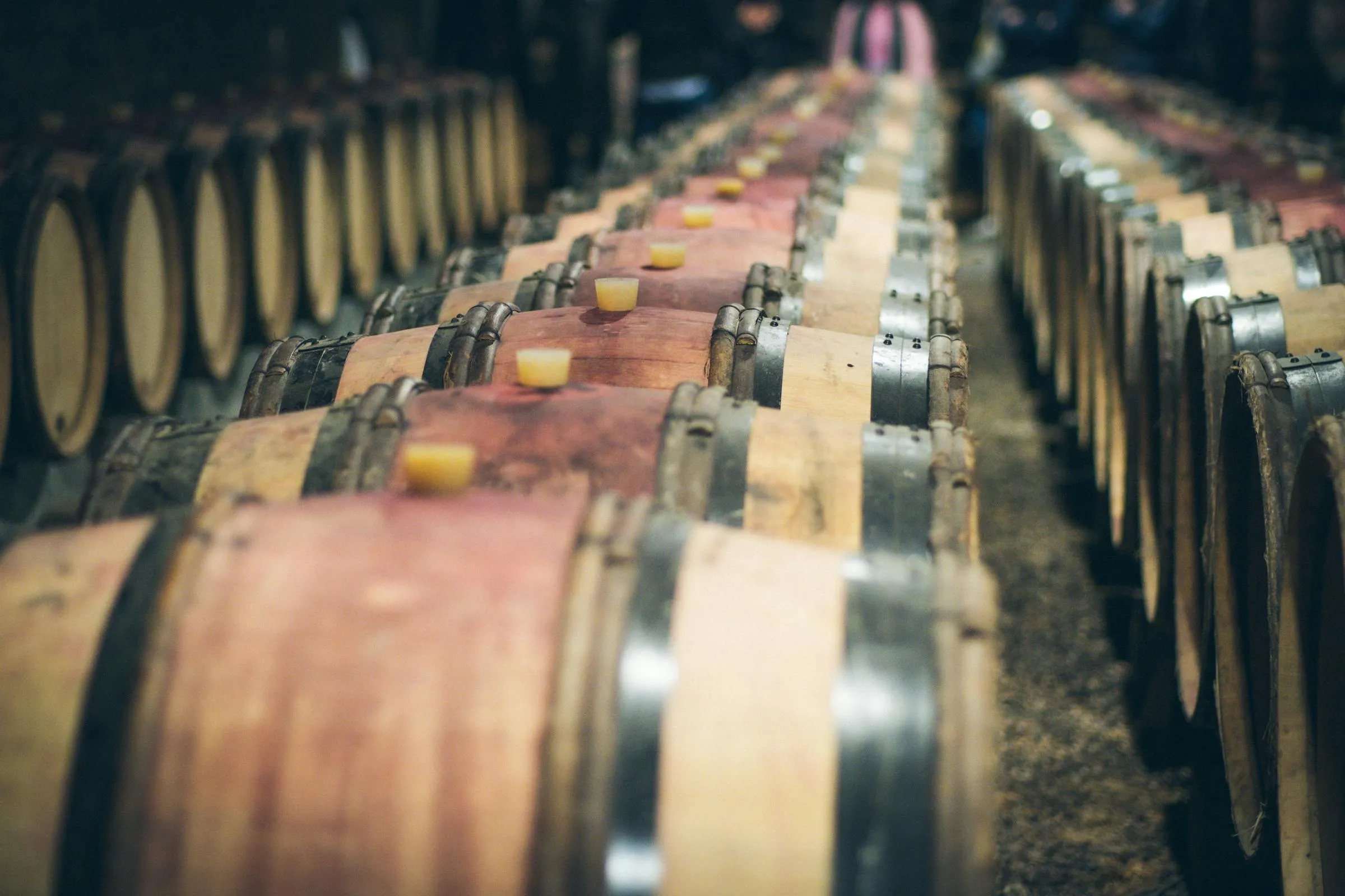 Wine tasting in Virginia wine country on a private chauffeured day trip from Washington DC