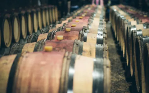 Wine tasting in Virginia wine country on a private chauffeured day trip from Washington DC