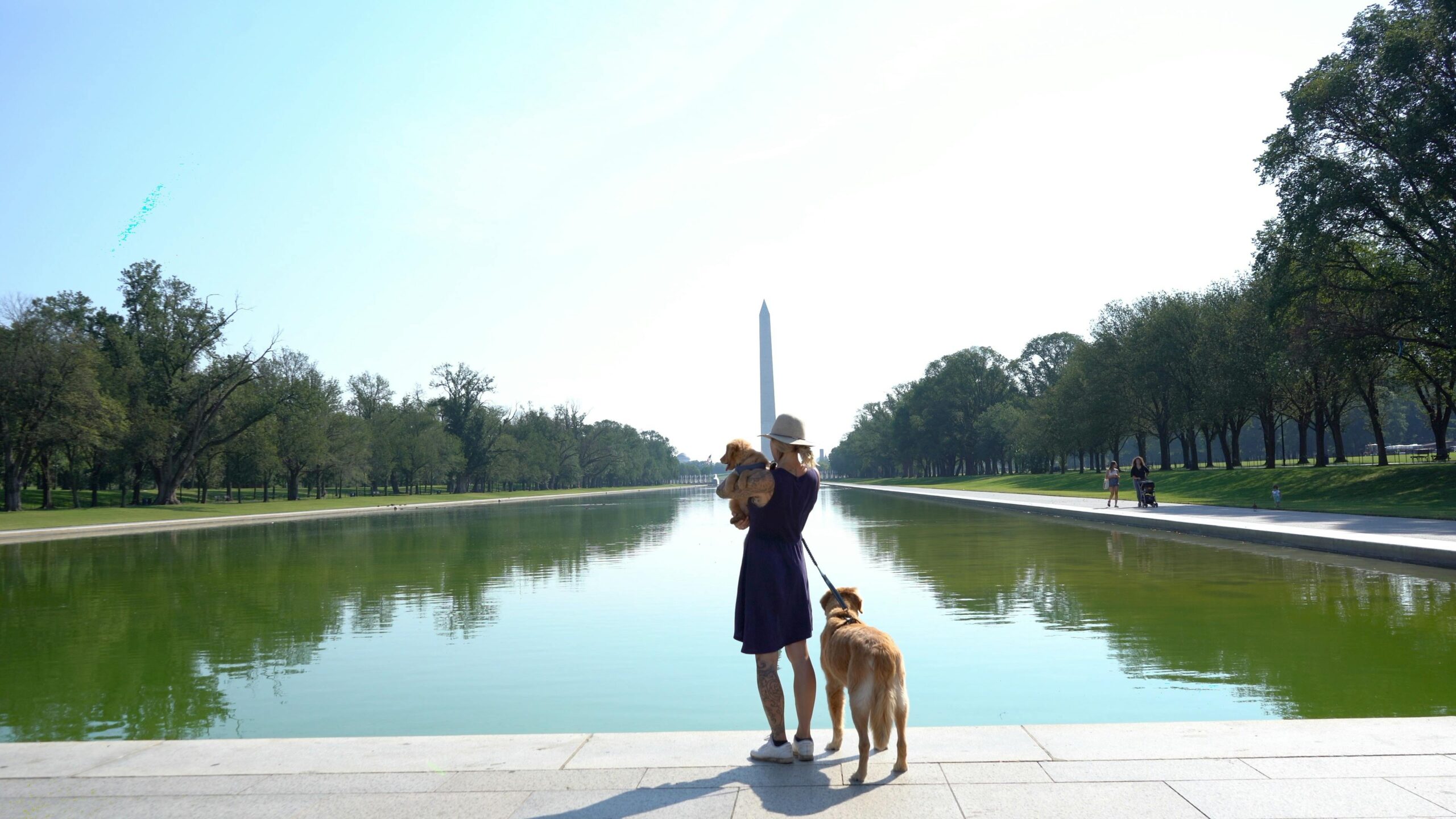 Washington Monument